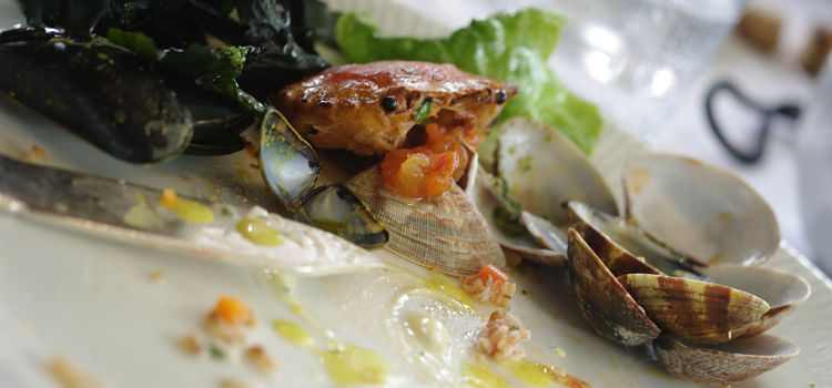 2797265995_56509ee6db_b_opt