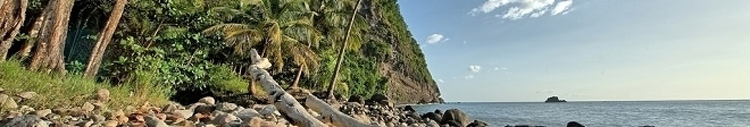 top-Martinique
