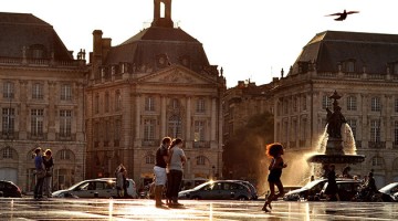 cribouille